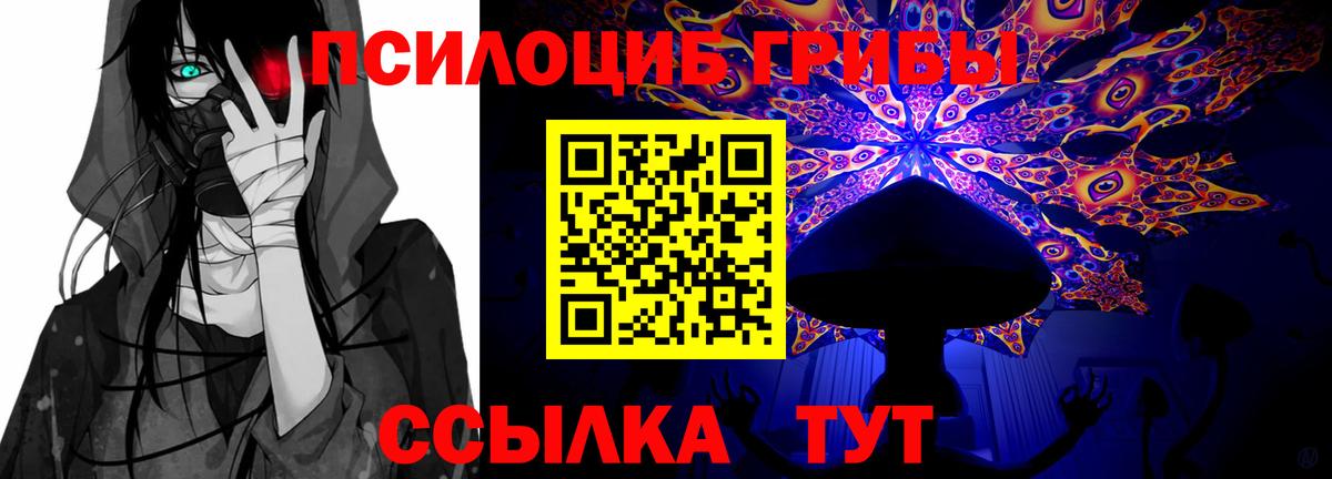 Псилоцибиновые грибы Cubensis  Галлюциногенные грибы Psilocybine cubensis  Осинники  наркошоп  Вход с VPN 